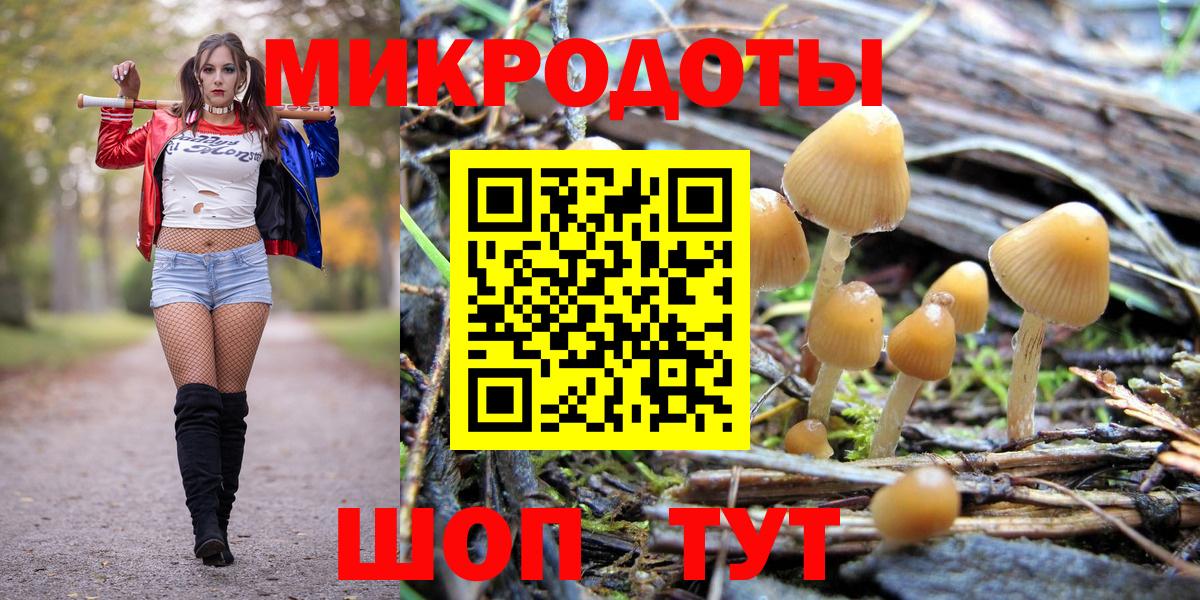 Вышний Волочёк  Псилоцибиновые грибы мухоморы  Вход с VPN 